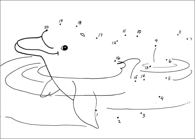 Coloriage A Imprimer De Dauphin Gratuit
