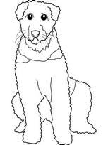 coloriage airedale