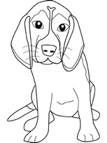coloriage beagle