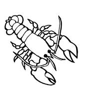 coloriage ecrevisse