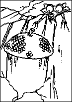 coloriage l age de glace scrat essaye de sauver sa noisette Theme age de glace P2292