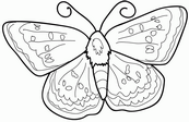 coloriage papillon