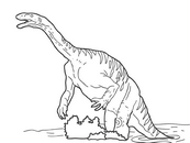 coloriage plateosaure