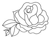coloriage rose