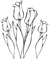 coloriage tulipes