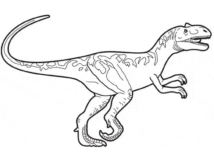 coloriage allosaurus