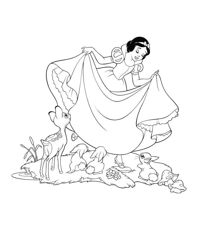 Coloriage A Imprimer Animaux De La Foret