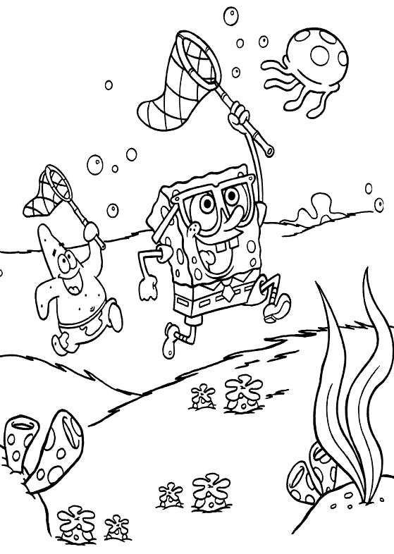 Coloriage a imprimer bob l eponge joue a la chasse a la coloriage bob l eponge joue a la chasse a la meduse