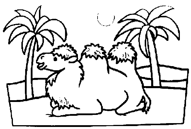 Coloriage a imprimer chameau du desert gratuit et colorier coloriage chameau du desert