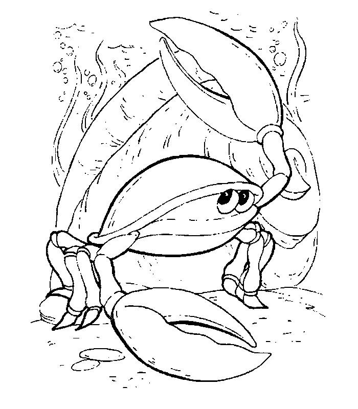 coloriage crabe