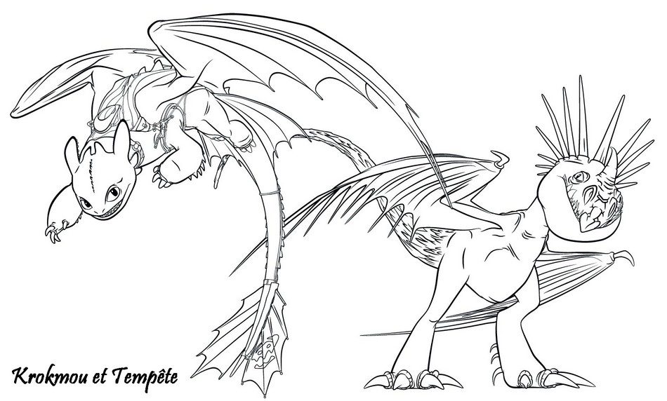 Coloriage A Imprimer Dragons 2 Krokmou Et Tempete Gratuit Et Colorier