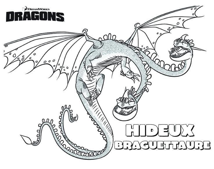 coloriage dragons 3D hideux braguettaure