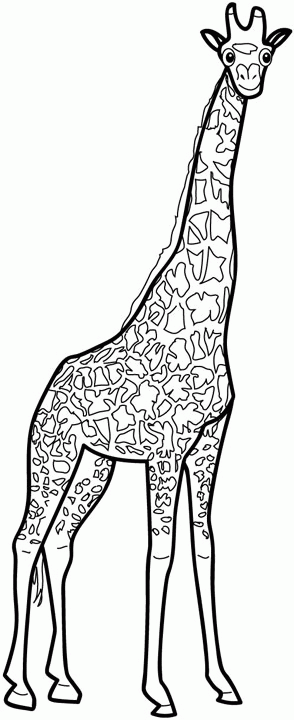 Coloriage A Imprimer Girafe Gratuit Et Colorier