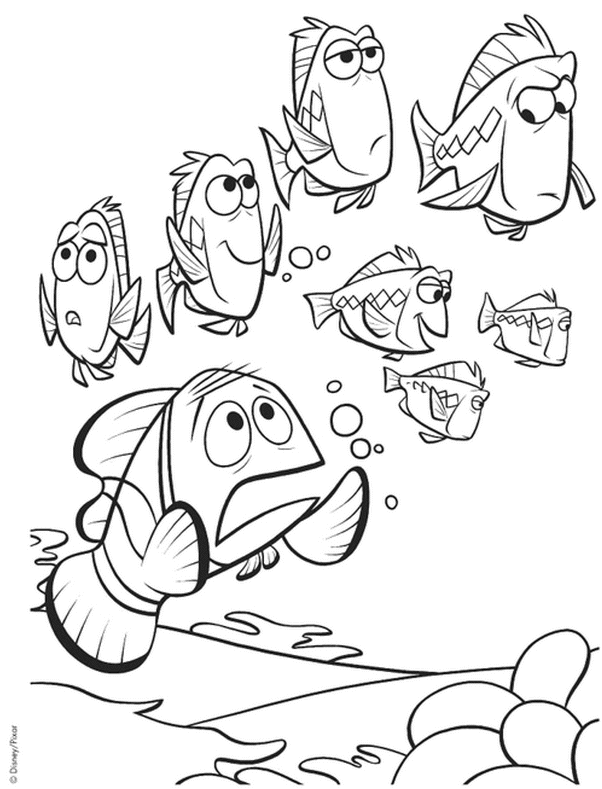 coloriage le papa de nemo le recherche