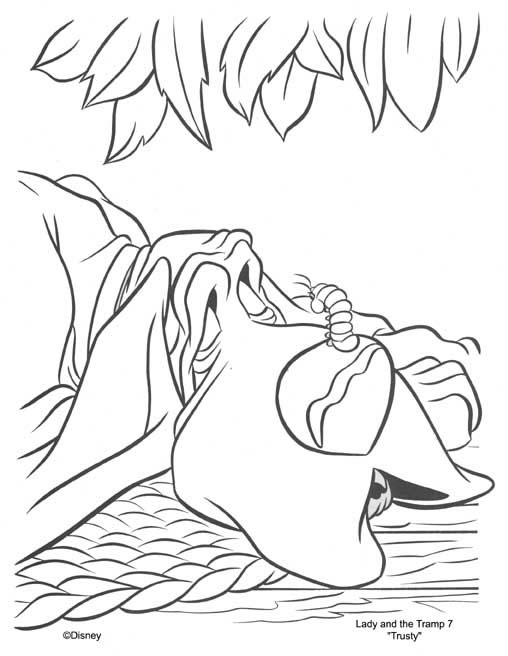 coloriage le vieux chien de chasse dort