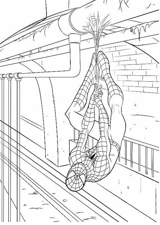 coloriage spiderman pendu tete en bas