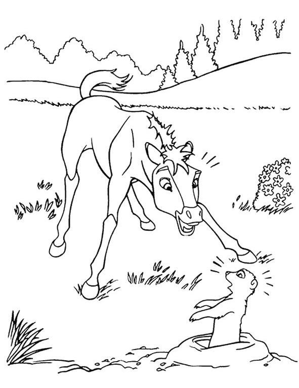a herd horse coloring pages - photo #47