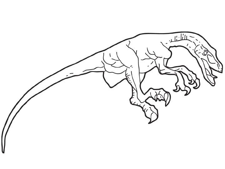 coloriage velociraptor